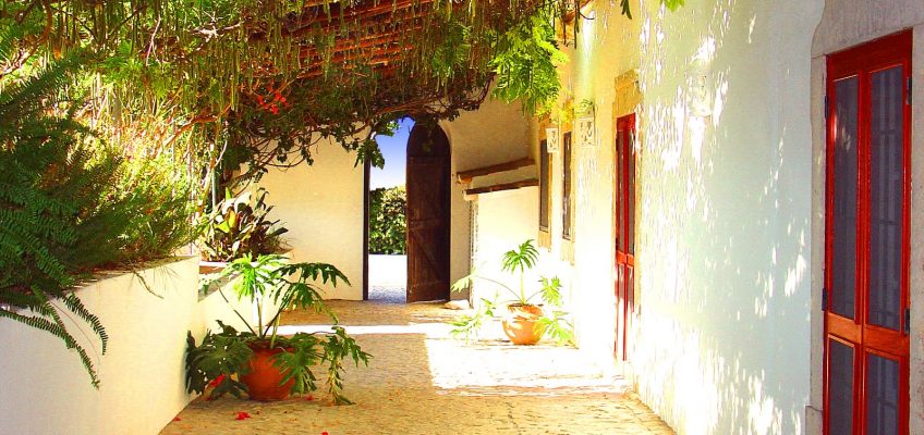 Casa Mimosa Garden Terrace