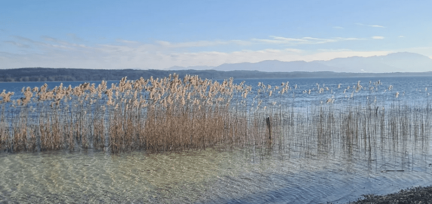 Iyengar Yoga Retreat mit Claudia Lamas Cornejo